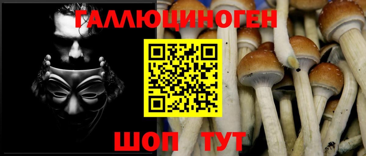 Чистополь  Псилоцибиновые грибы мицелий  Галлюциногенные грибы MAGIC MUSHROOMS  Вход с VPN 